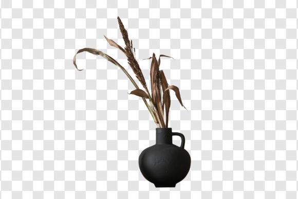 1836 Decorative Plants in a Black Vase Isolated