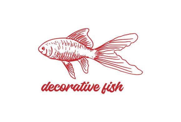 Hand Draw Comet Fish for Decorative Fish: A Unique Touch for Your Space