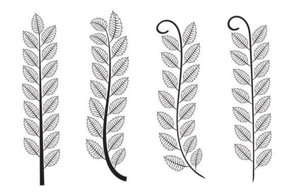 Hand Drawn Doodle Branches and Leaves: A Versatile Design Element for Modern Creatives
